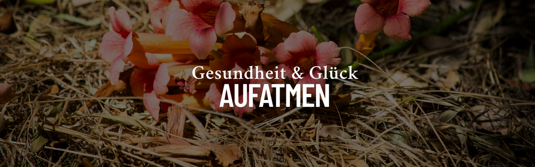 Aufblühen im Garten: Rituale & Deko-Ideen für dein grünes Glück