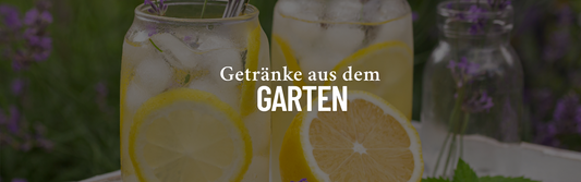 Sommergetränke selber machen: 3 erfrischende Ideen für dein Garten-Zuhause