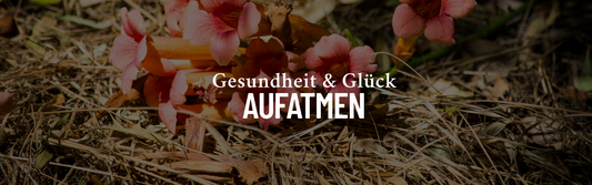 Aufblühen im Garten: Rituale & Deko-Ideen für dein grünes Glück