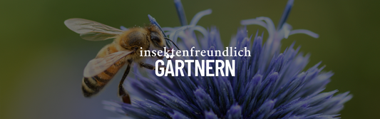 Insektenfreundlich gärtnern: So machst du Bienen & Schmetterlingen eine Freude
